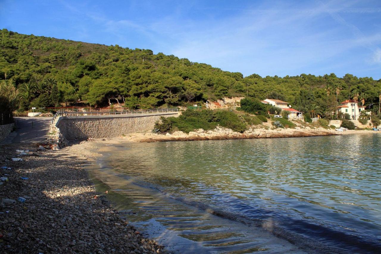 Apartments By The Sea Milna, Vis - 8896 Екстериор снимка